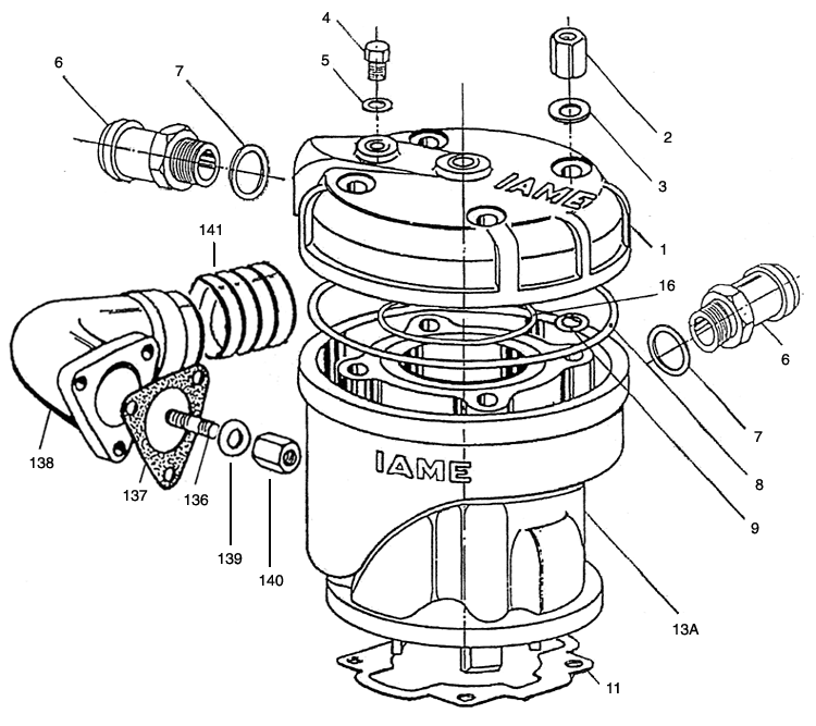 IAME Parts | MY09 Leopard | Cylinder and Head