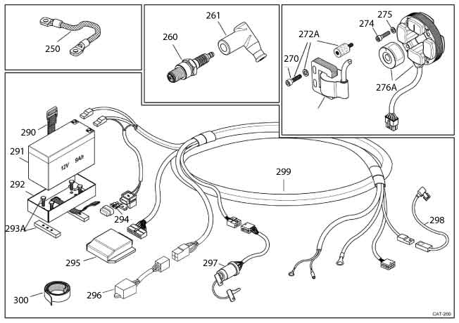 IAME Parts | MY09 Leopard | Ignition & Electronic Group