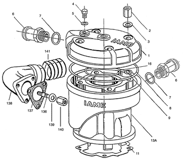 IAME Parts | MY09 Leopard | Cylinder and Head