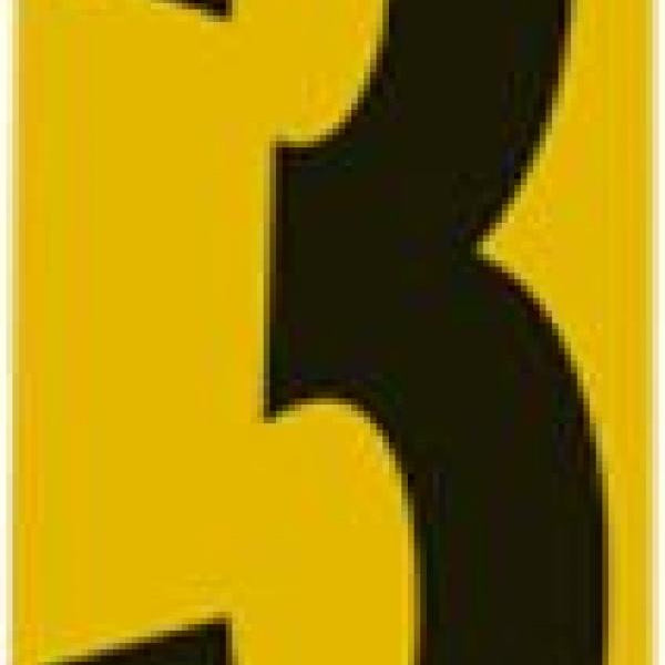 Race Number Sticker 3