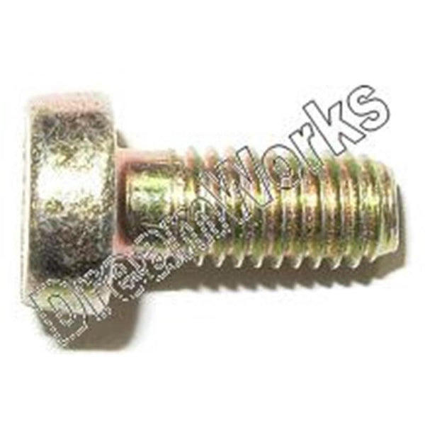 Screw 5 mm for Banjo