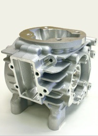 Leopard Complete Crankcase