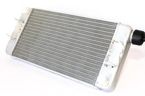 Iame Aluminum Radiator With Mount Kit