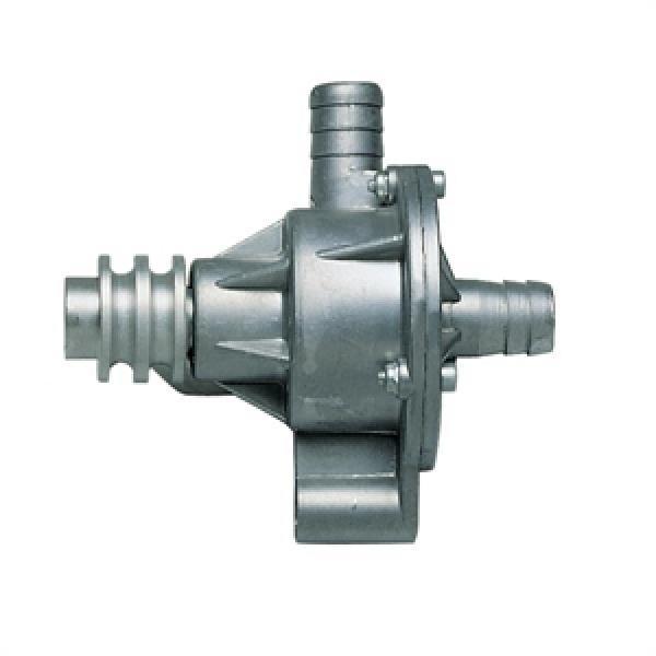 Righetti Cast Aluminum Water Pump