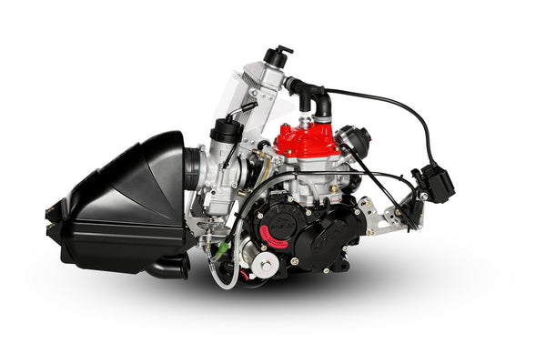 Rotax 125 EVO Engine