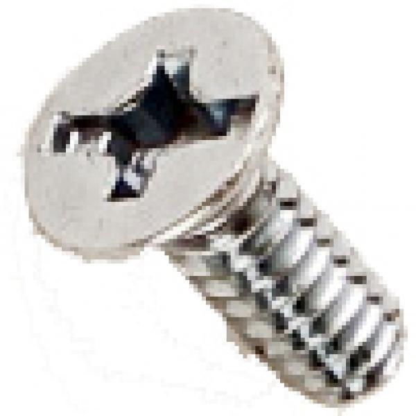 Walbro WA55 Circuit Plate Screw (39)