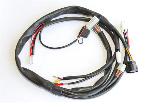 IAME CABLE HARNESS '13